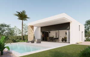 New Build - Villa - Molina De Segura