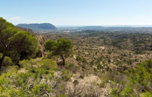 New Build - Villa - Aspe