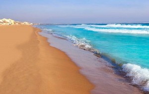 New Build - Villa - San Fulgencio