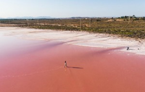 Nouvelle construction - Ground floor apartment - Torrevieja