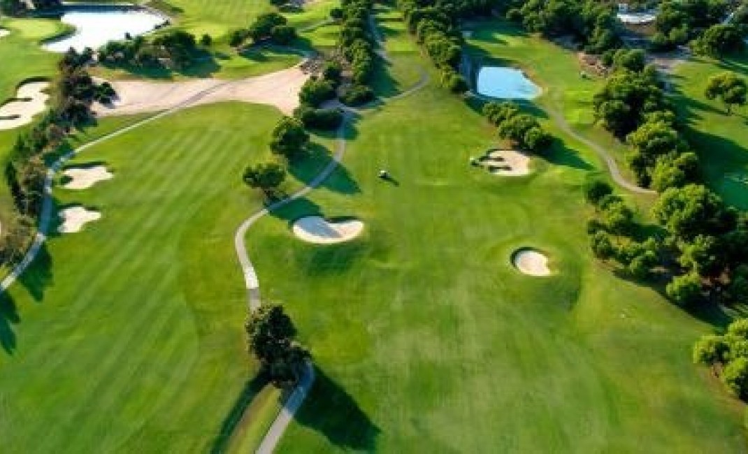 New Build - Villa - Pilar de la Horadada - PILAR DE LA HORADADA