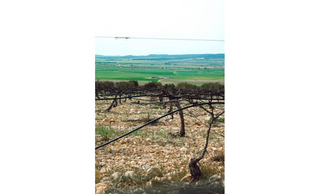 New Build - Villa - Yecla