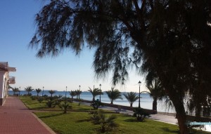 New Build - Semidetached - Los Alcázares