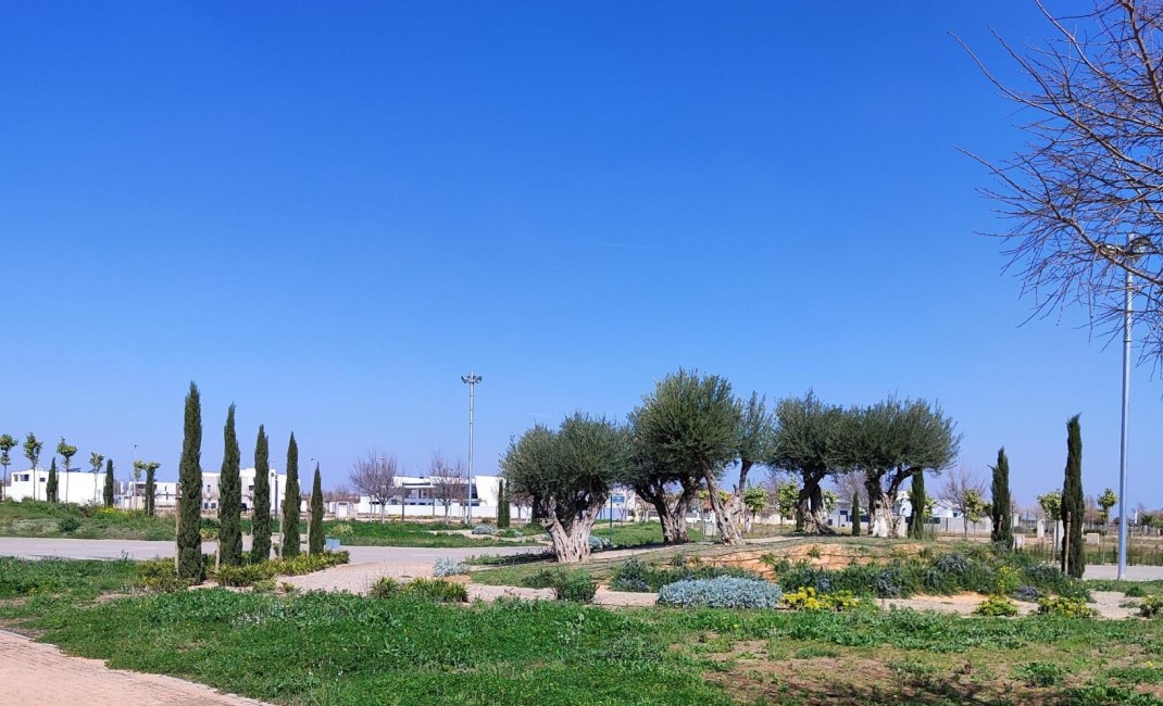 New Build - Apartment - Torre Pacheco - Torre-pacheco