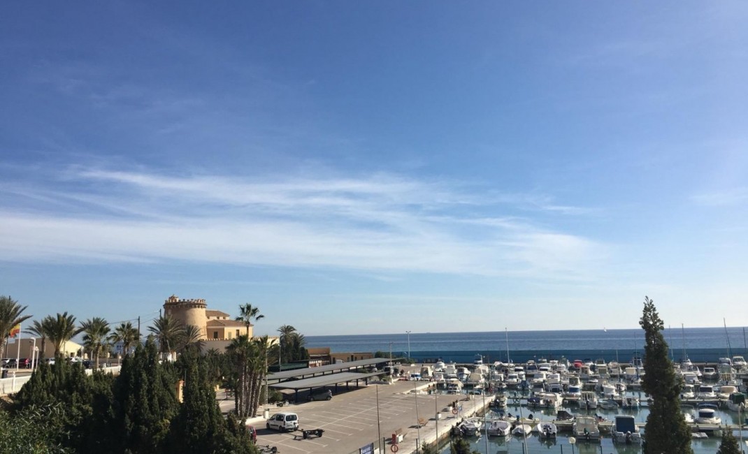 New Build - Villa - Pilar de la Horadada - PILAR DE LA HORADADA