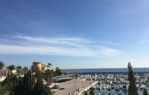 New Build - Villa - Pilar de la Horadada - PILAR DE LA HORADADA