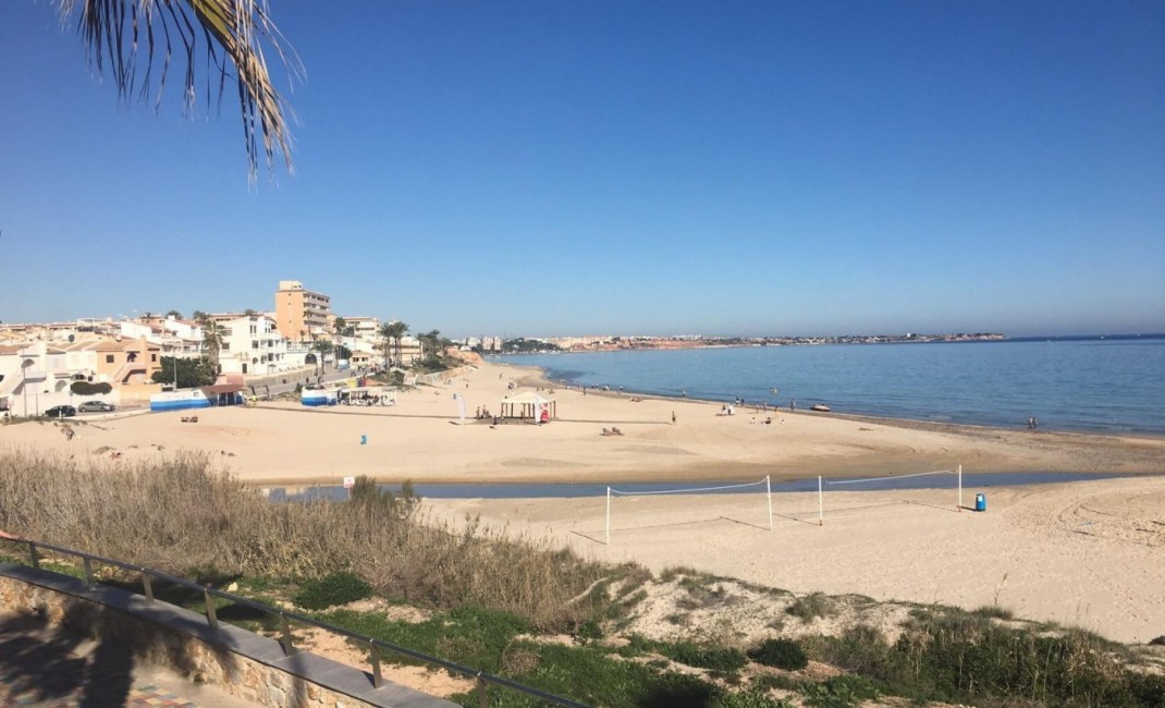 New Build - Villa - Pilar de la Horadada - PILAR DE LA HORADADA