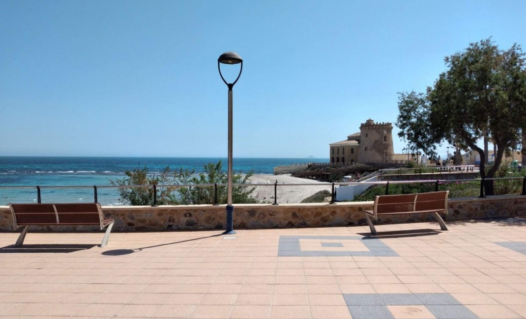 New Build - Semidetached - Pilar de la Horadada - PILAR DE LA HORADADA