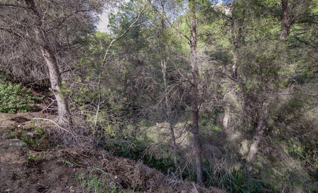 Sale - Plot - Benissa