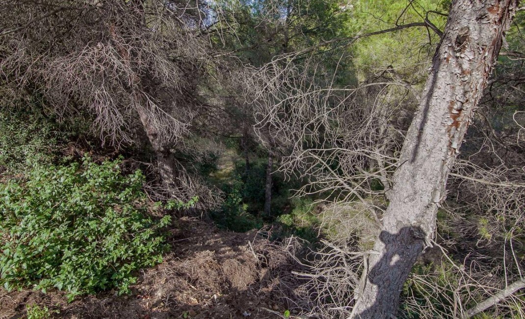 Sale - Plot - Benissa