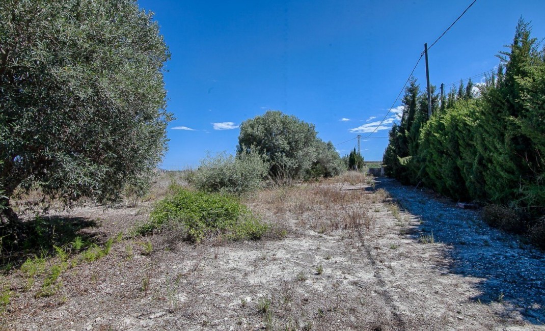 Nouvelle construction - Plot - Moraira