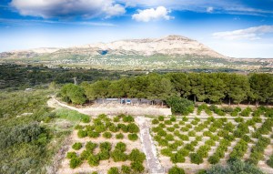 Sale - Plot - Gata de Gorgos