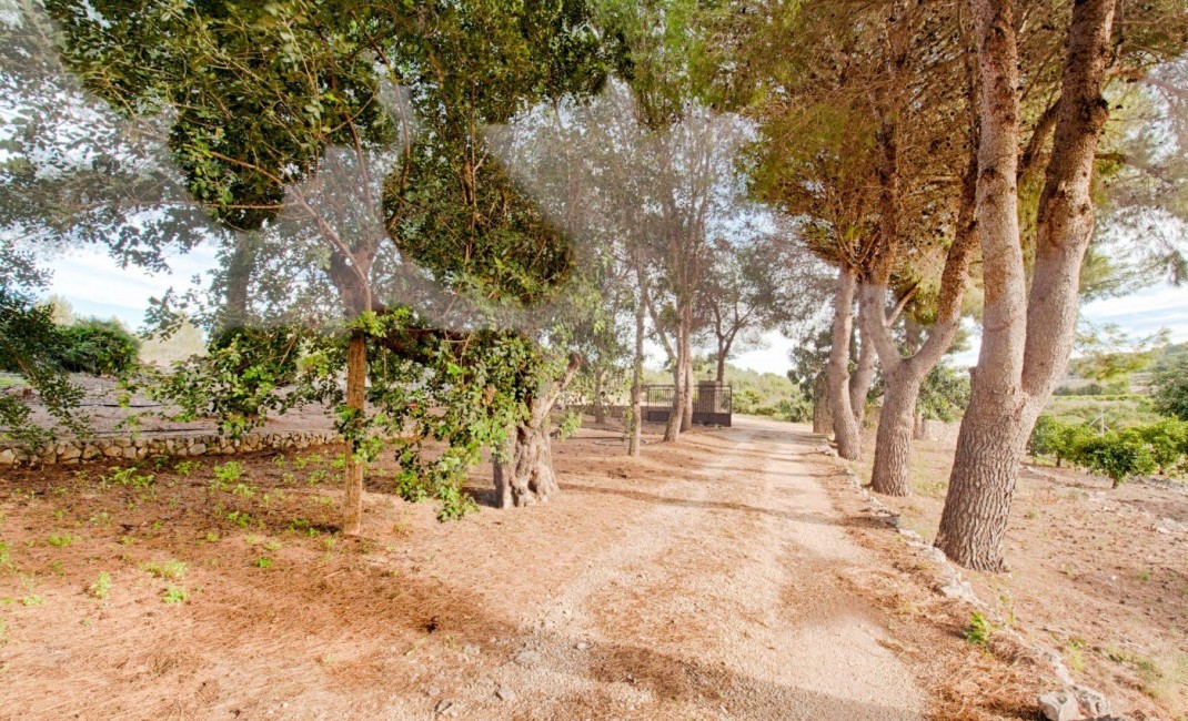 Sale - Plot - Gata de Gorgos