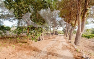 Sale - Plot - Gata de Gorgos