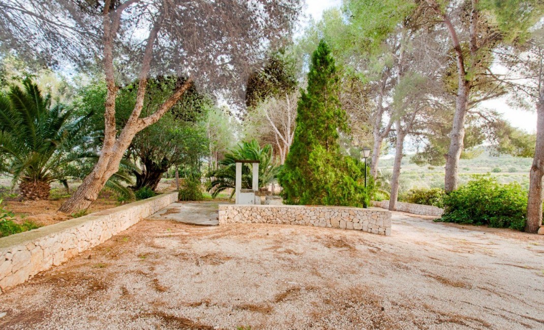 Sale - Plot - Gata de Gorgos