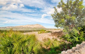 Sale - Plot - Gata de Gorgos