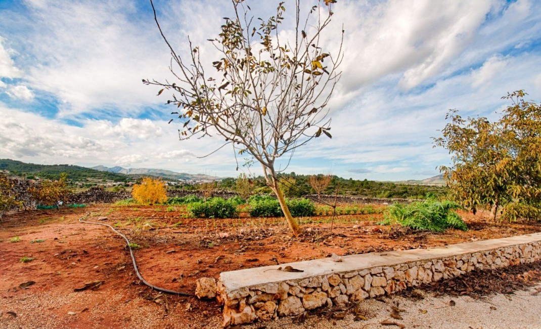 Sale - Plot - Gata de Gorgos