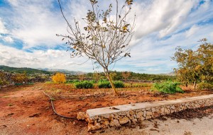 Sale - Plot - Gata de Gorgos