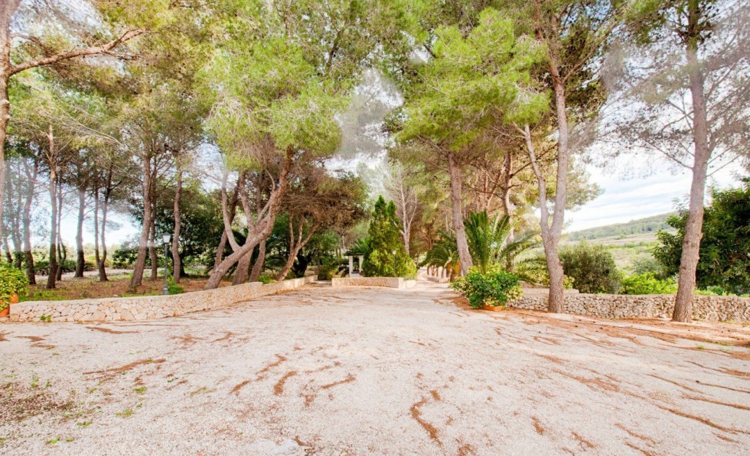 Sale - Plot - Gata de Gorgos