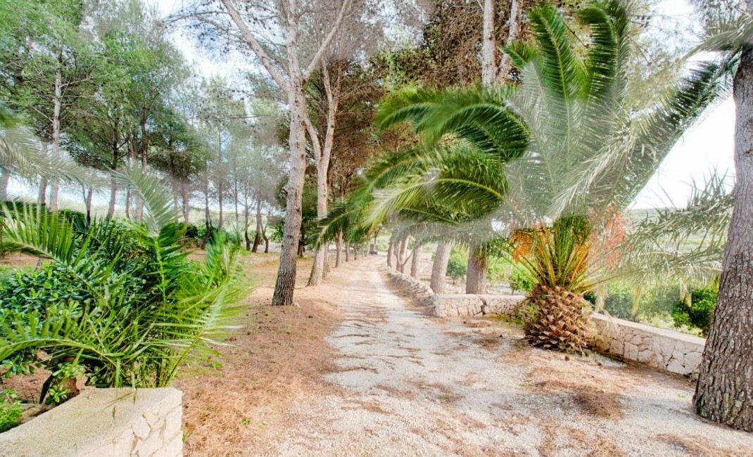 Sale - Plot - Gata de Gorgos