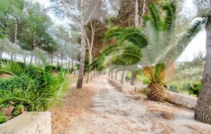 Sale - Plot - Gata de Gorgos