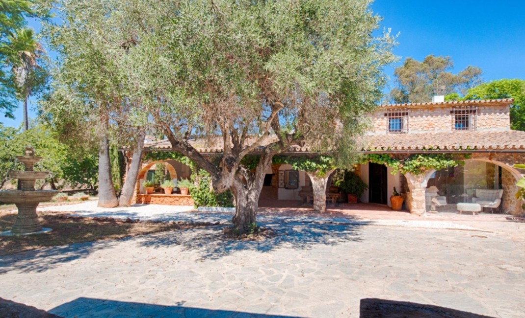 Revente - Plot - Senija - Campo