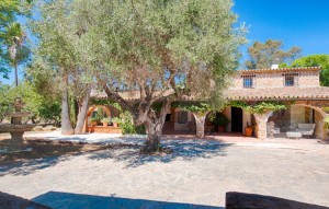 Revente - Plot - Senija - Campo