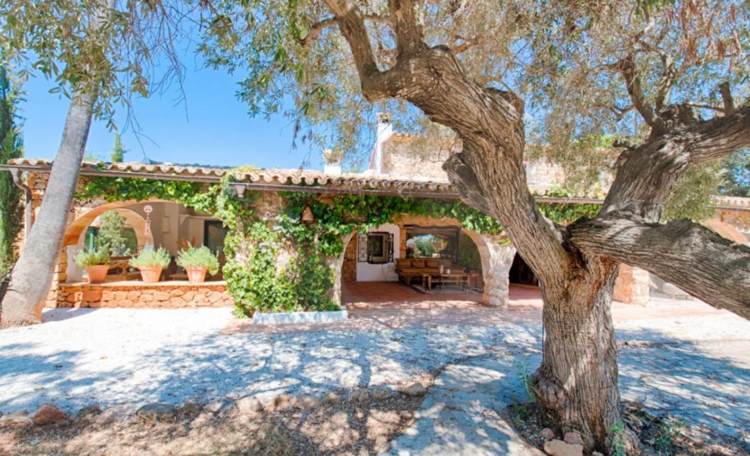 Revente - Plot - Senija - Campo