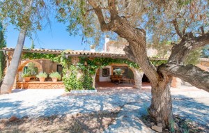 Revente - Plot - Senija - Campo