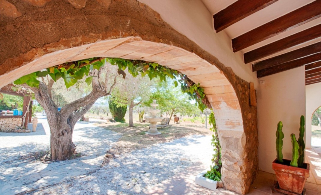 Revente - Plot - Senija - Campo