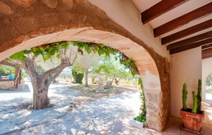 Revente - Plot - Senija - Campo