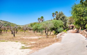 Revente - Plot - Senija - Campo