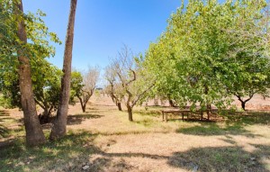 Revente - Plot - Senija - Campo