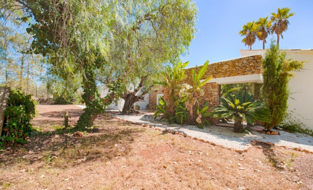 Revente - Plot - Senija - Campo