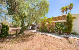 Revente - Plot - Senija - Campo