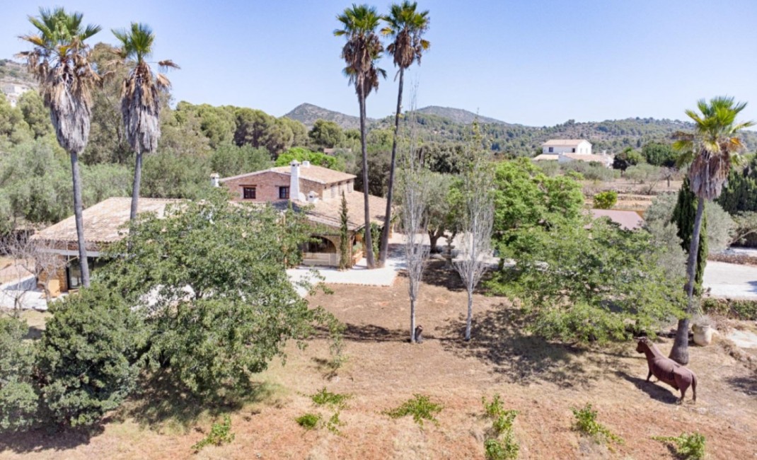 Revente - Plot - Senija - Campo