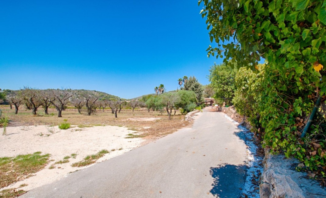 Revente - Plot - Senija - Campo