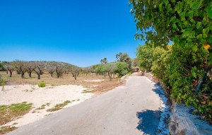 Revente - Plot - Senija - Campo