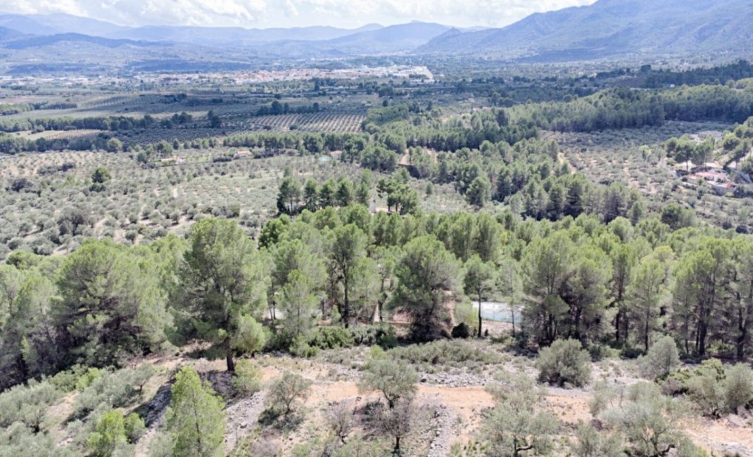 Revente - Plot - Muro d'Alcoi - Turballos