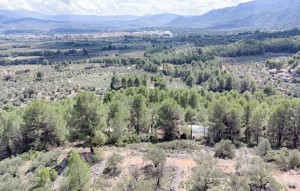 Revente - Plot - Muro d'Alcoi - Turballos