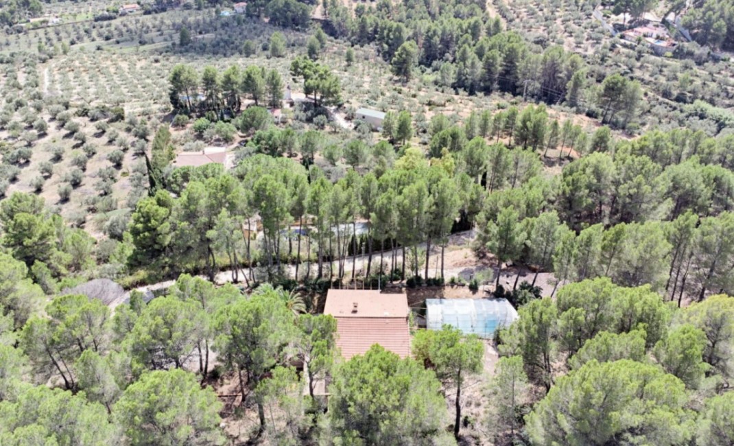 Revente - Plot - Muro d'Alcoi - Turballos