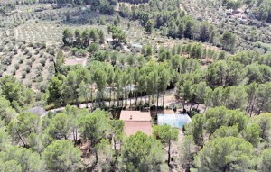 Revente - Plot - Muro d'Alcoi - Turballos