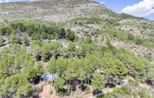 Revente - Plot - Muro d'Alcoi - Turballos