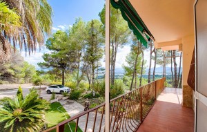 Revente - Plot - Muro d'Alcoi - Turballos