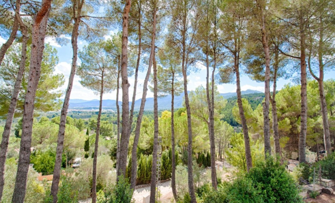 Revente - Plot - Muro d'Alcoi - Turballos