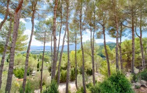 Revente - Plot - Muro d'Alcoi - Turballos