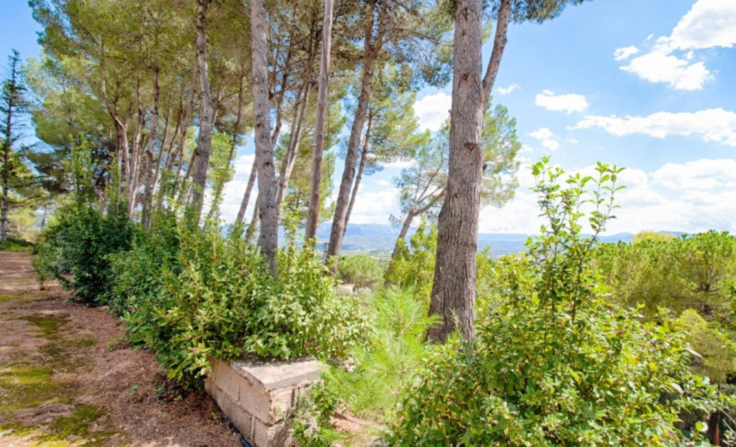 Revente - Plot - Muro d'Alcoi - Turballos