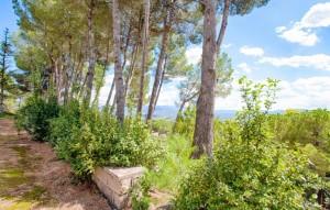 Revente - Plot - Muro d'Alcoi - Turballos