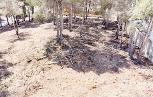 Sale - Plot - Moraira