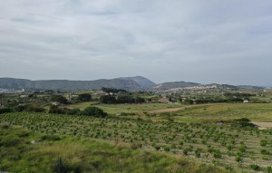 Nouvelle construction - Plot - Benissa